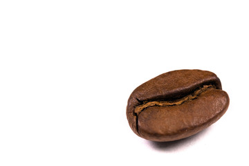 macro shot of a coffee bean, isolated on white
