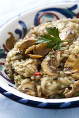 Mushroom Risotto