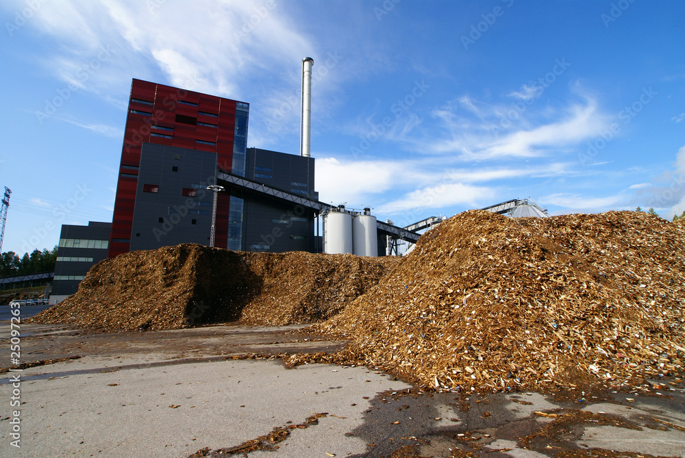 Wall mural bio power plant with storage of wooden fuel