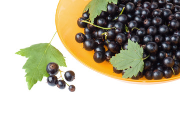 Berries of a black currant and leaves on a yellow plate, it is i