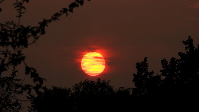 timelapse with sunset over forest