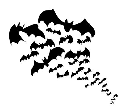 Stormo di pipistrelli neri in volo