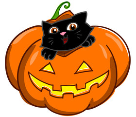 gatto che sbuca da una zucca di halloween