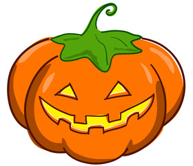 Zucca su sfondo bianco