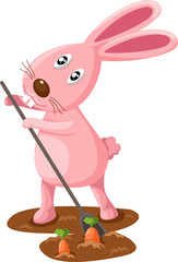 Rabbit digging carrots