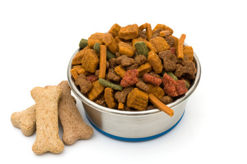 A Bowl of Dog Food
