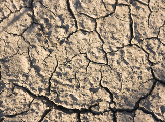 Dry ground