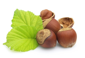 Dried hazelnuts