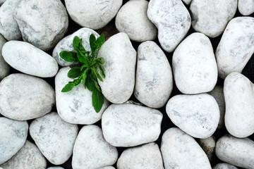 background of stones in a public park