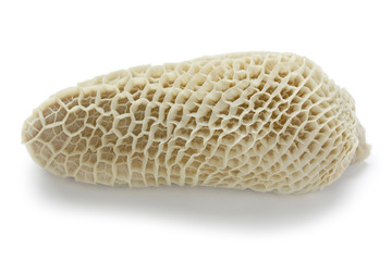 Trippa , Beef Tripe