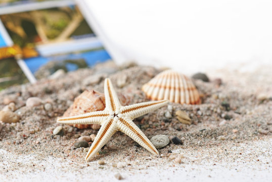 Muschel, Seestern und Schneckenhaus am Sand strand