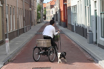 Mode vie néerlandais