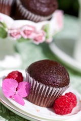 Chocolate muffin on garden table