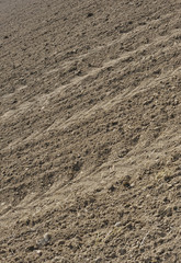 lowed field with traces of tractor wheels