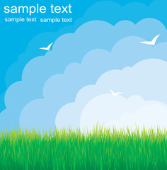 Obraz premium Vector summer background with clouds