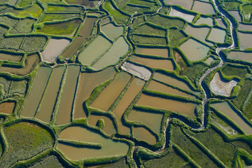 Marais salant de la Tremblade, Charente-Maritime (17)