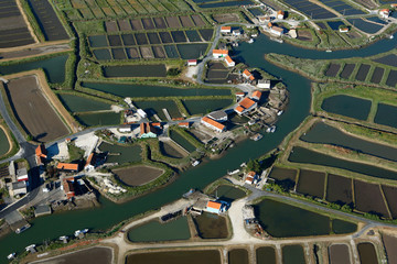 Port ostréicole de la Grève à Duret, Pays Royannais, Charente-Ma