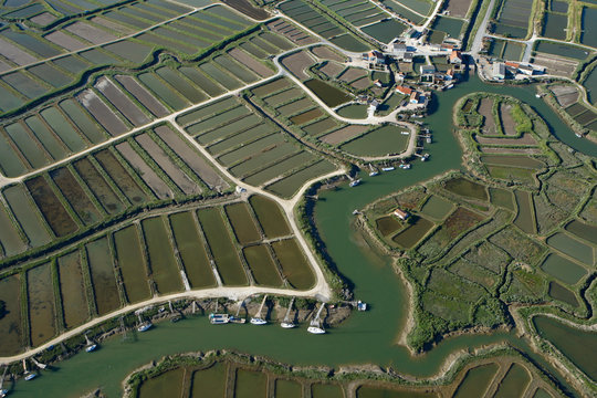 Port ostréicole d'Orivol, 17750 Etaules, Pays Royannais, Charent