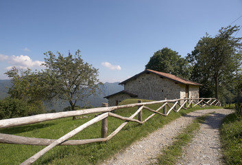 Pontogna