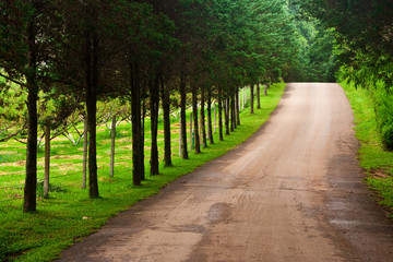 Fototapeta premium Road in countryside of nothern Thailand