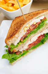 Sandwich with French fries