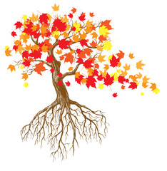 autumn tree