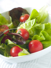 Fresh salad