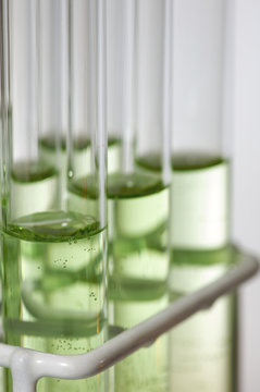 test tubes