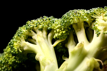 Macro shot of fresh ripe broccoli isolated on black