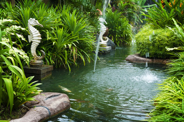 Tropical zen garden