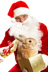Santa with cute pet