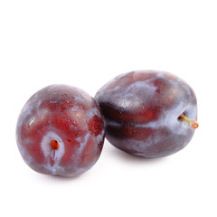 Obraz premium plum