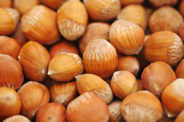 A lot of hazelnut
