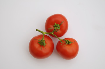 Tomato stem on white background