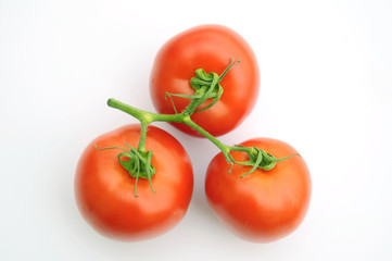 Tomato stem on white background