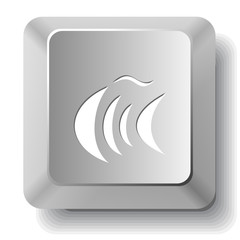 Abstract fish. Vector computer key.