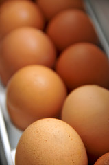 eggs