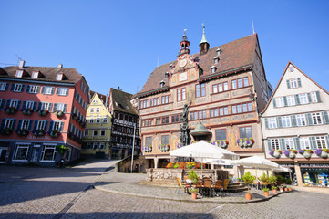 Fototapeta premium City Hall and Market Square - Tübingen, Germany