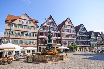 Market Square - Tübingen, Germany