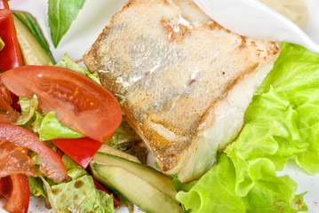 pike perch