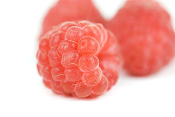 fresh raspberry