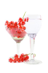 Red currant