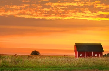 Foto op Canvas Farm landscape © SNEHIT PHOTO