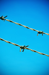 barbed wire