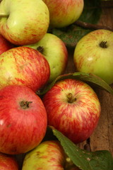 Äpfel