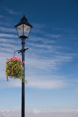Lampost and Flowers
