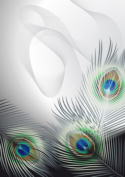 Fototapeta Background with peacock feathers