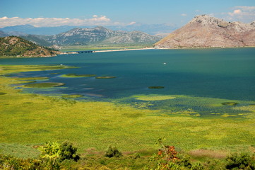 Landscape of Lake Skadarsko in Montenegro