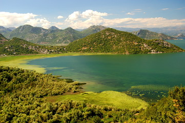 Skadarsko Jezero, Crna Gora - obrazy, fototapety, plakaty