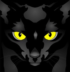 black lady-cat with yellow eyes on a black background